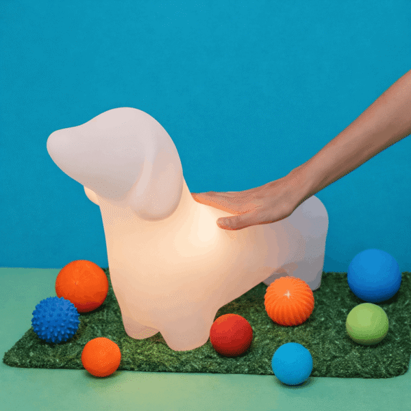 Luminária Cachorro Billy azul LED com interação ao toque em ambiente lúdico com bolas coloridas