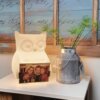 Luminária porta-retrato Você Coruja branca acesa em mesa com foto de família e iluminação aconchegante