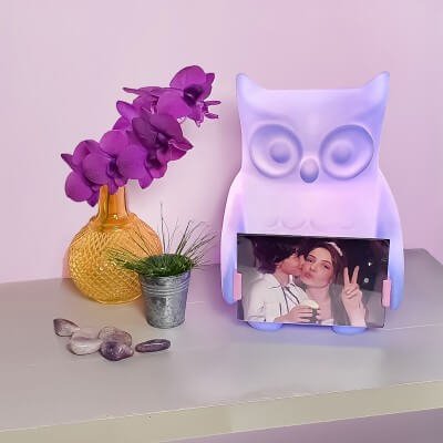 Luminária porta-retrato Você Coruja roxa decorativa sobre mesa com iluminação ambiente e foto em destaque